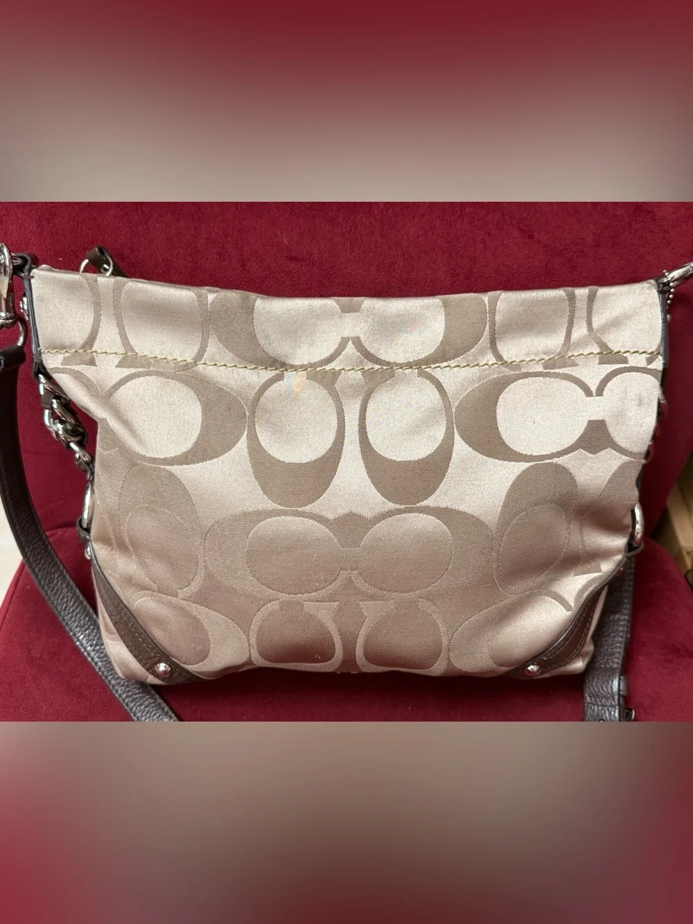 Coach Signature Carly Hobo bag in Beige and Tan